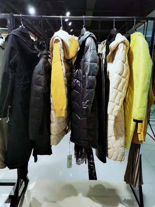 【廣東品牌折扣女裝羽絨服專賣(mài)店網(wǎng)店庫(kù)存商品廠家批發(fā)貨源】-